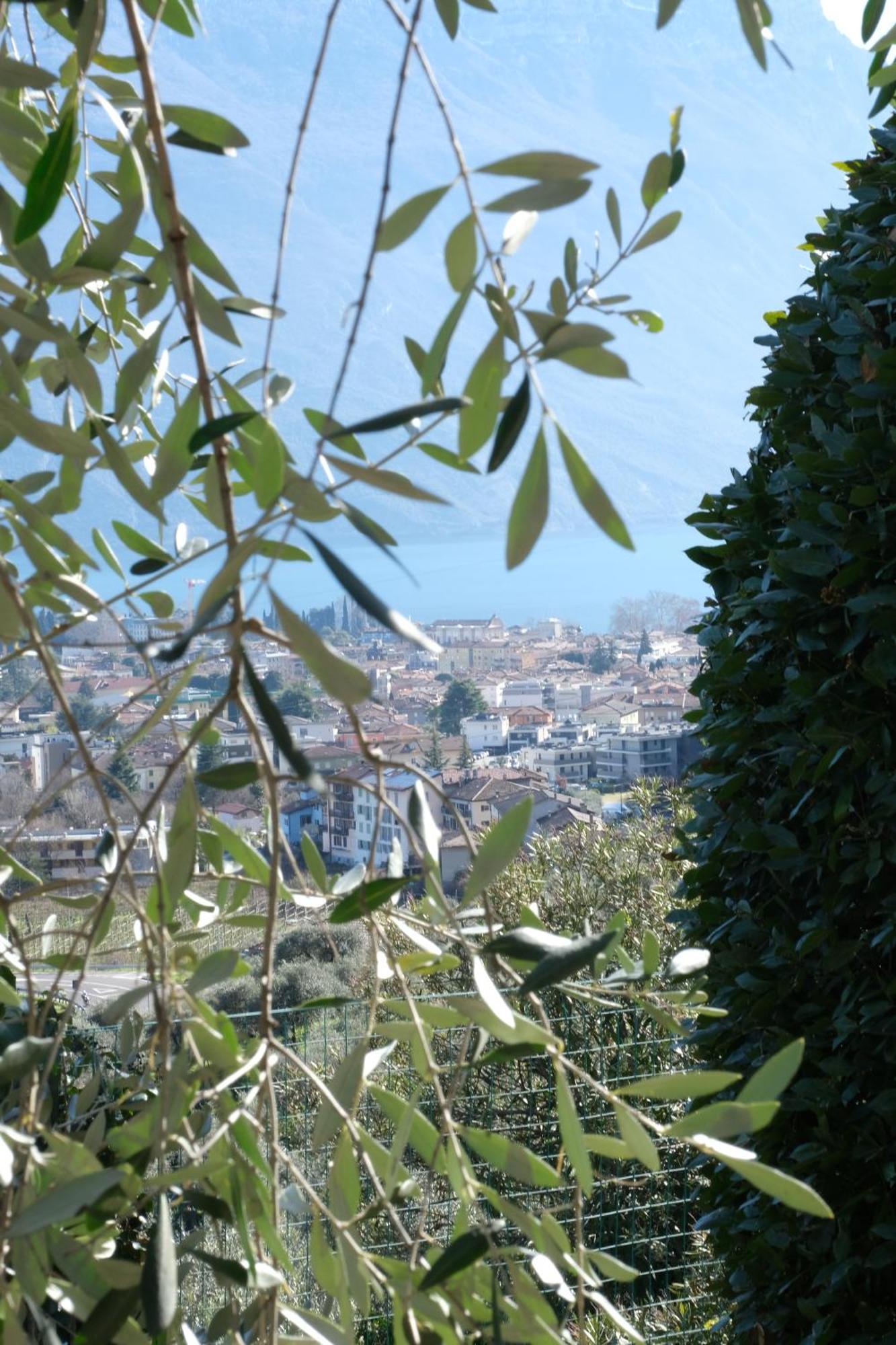 Gavazzo Nuova Casa Segantini - Panorama Pool Apartment מראה חיצוני תמונה